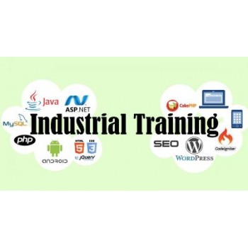 Industrial Training with Live Projects